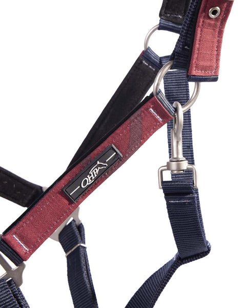 QHP Halter & Lead Rope - Turnout Collection