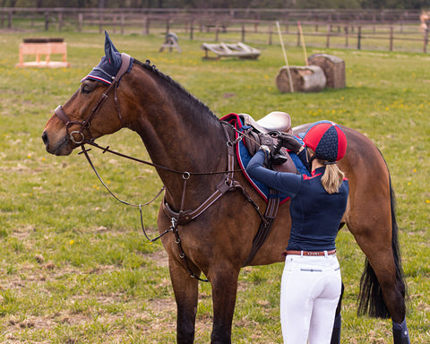QHP Sedna Breastplate - EveryDay Equestrian