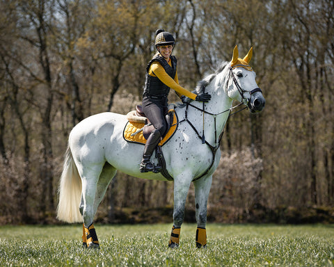 QHP Eldorado All Purpose Saddle Pad - EveryDay Equestrian