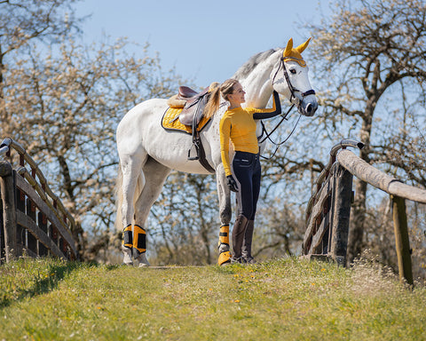 QHP Eldorado All Purpose Saddle Pad - EveryDay Equestrian