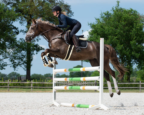 QHP Ontario All Purpose Girth - EveryDay Equestrian