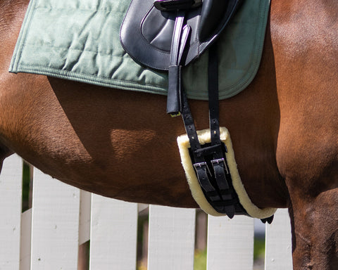 QHP Ontario Dressage Girth - EveryDay Equestrian