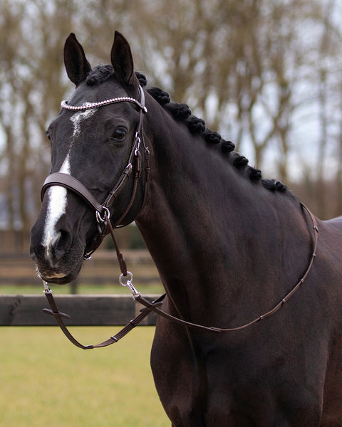 QHP Sunna Multi-functional Bitless Bridle