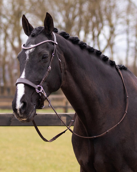 QHP Sunna Multi-functional Bitless Bridle