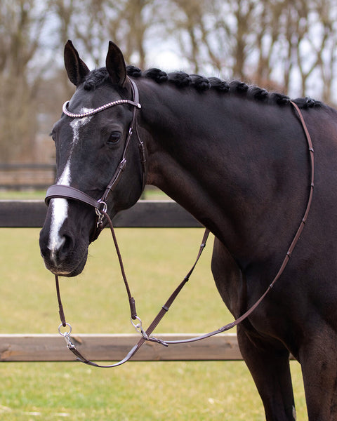 QHP Sunna Multi-functional Bitless Bridle