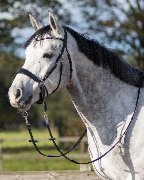 QHP Sunna Multi-functional Bitless Bridle