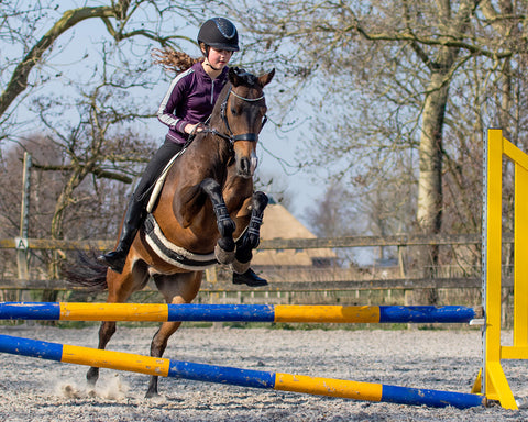 QHP Sunna Multi-functional Bitless Bridle