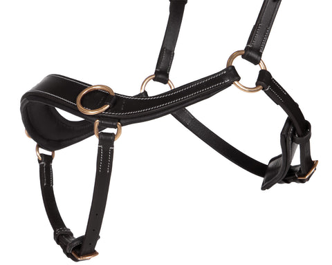 QHP Anatomical Bitless Bridle