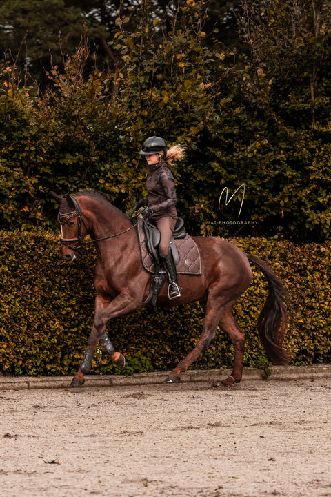 Mrs. Ros Charmer Dressage Saddle Pad - Hot Chocolate Collection