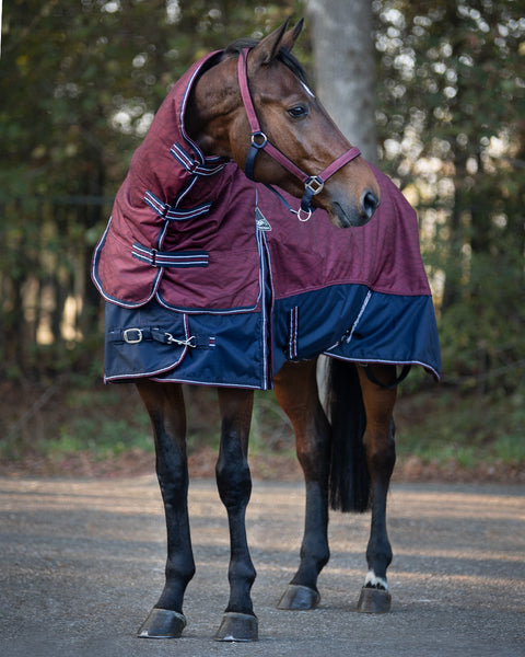 EveryDay Equestrian - Horse Winter Rugs