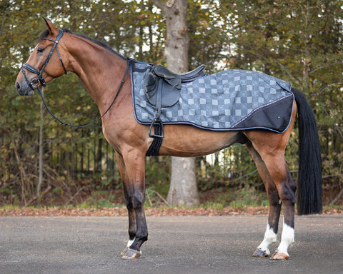 Everyday Equestrian - QHP Horse Exercise Sheet