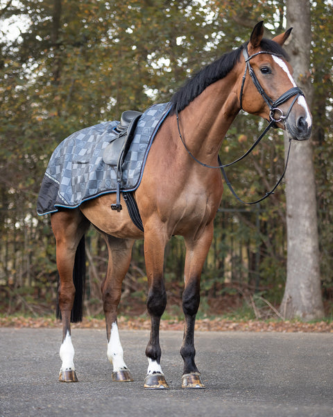 Everyday Equestrian - QHP Horse Exercise Sheet