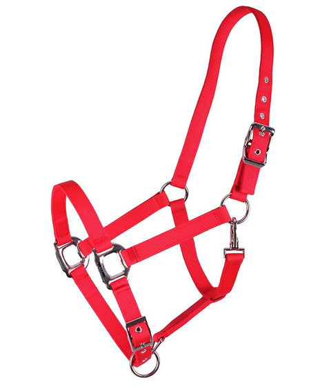 QHP Amos Halter - EveryDay Equestrian