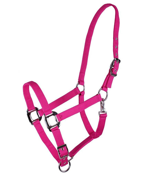 QHP Amos Halter - EveryDay Equestrian