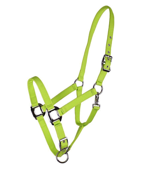 QHP Amos Halter - EveryDay Equestrian