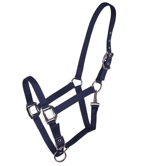 QHP Amos Halter - EveryDay Equestrian