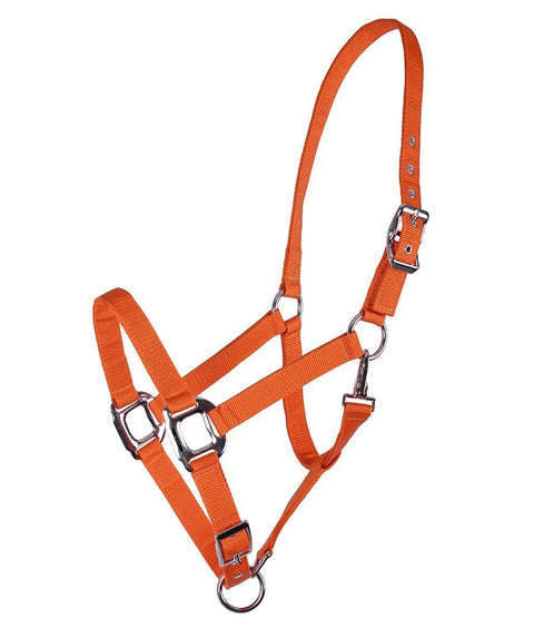QHP Amos Halter - EveryDay Equestrian