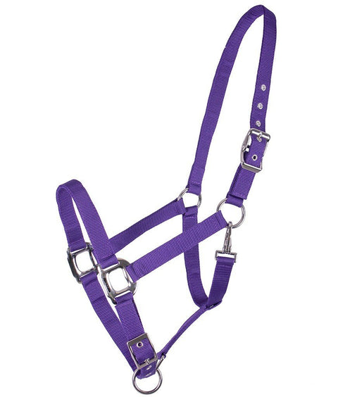 QHP Amos Halter - EveryDay Equestrian