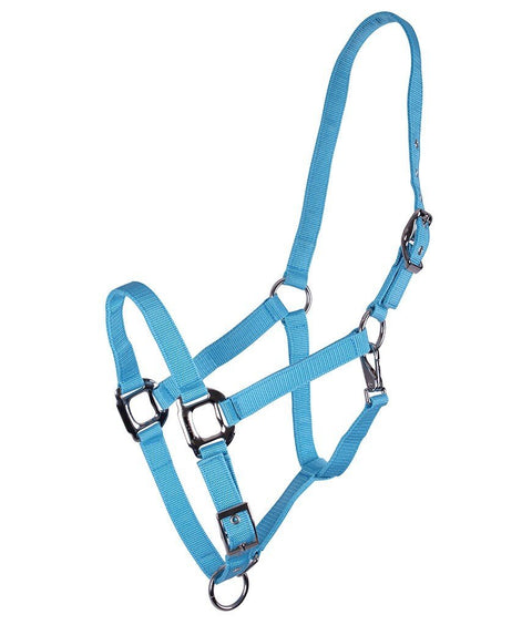 QHP Amos Halter - EveryDay Equestrian