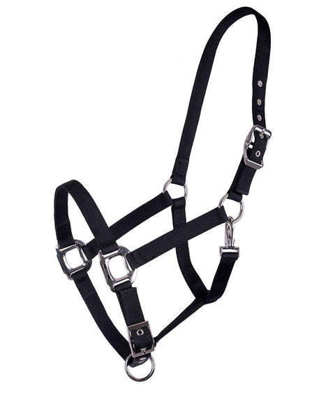 QHP Amos Halter - EveryDay Equestrian