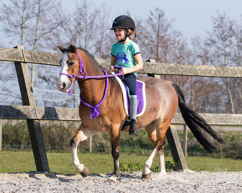 QHP Rope Halter with Reins