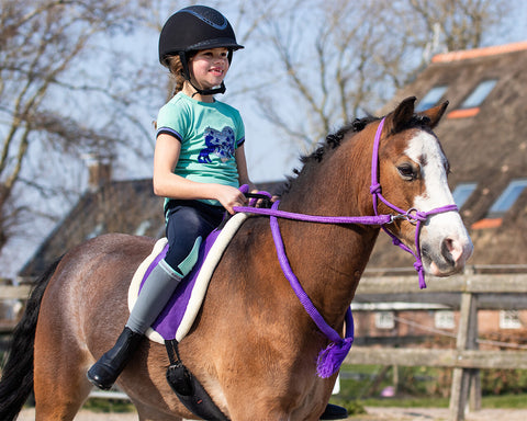 QHP Rope Halter with Reins