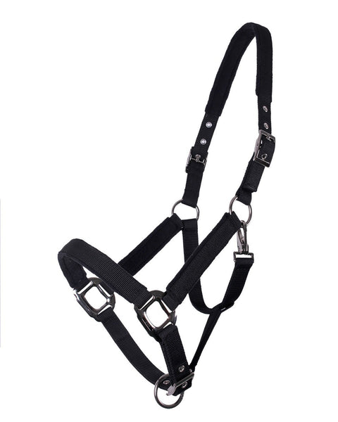 QHP Halter Fly Mask Combo with Ears - EveryDay Equestrian