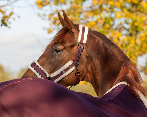 QHP Diamond Halter - EveryDay Equestrian