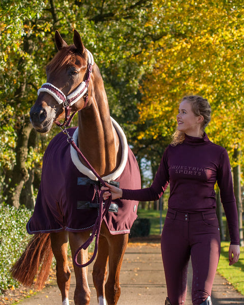 QHP Diamond Halter - EveryDay Equestrian