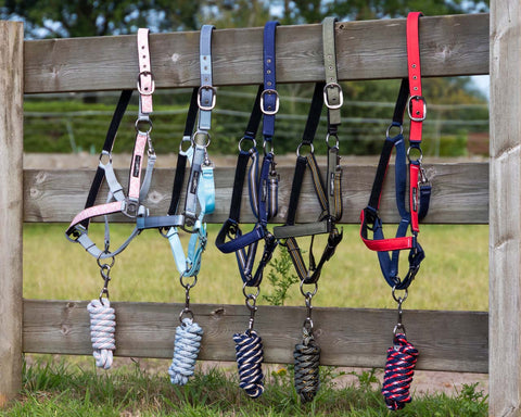 QHP Halter & Lead Rope - Diamond & Lagoon Collection