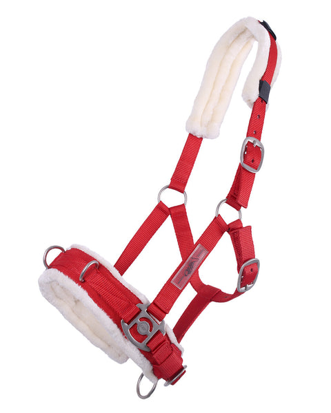 QHP Lunge Cavesson - EveryDay Equestrian