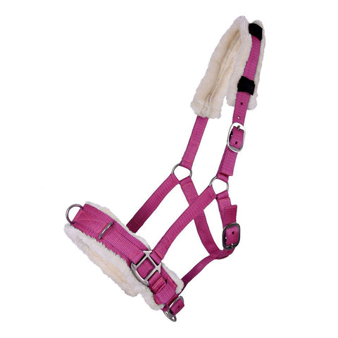 QHP Cavesson - EveryDay Equestrian