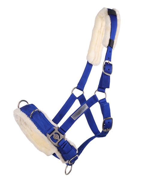 QHP Cavesson - EveryDay Equestrian