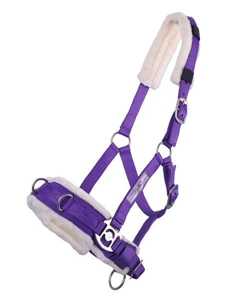 QHP Lunge Cavesson - EveryDay Equestrian