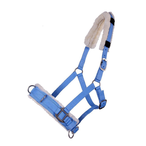 QHP Cavesson - EveryDay Equestrian