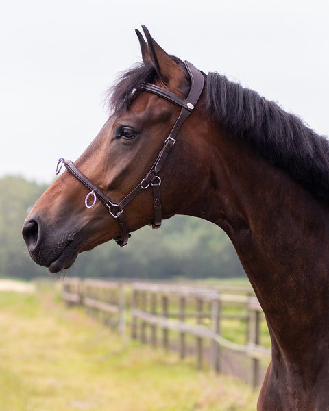 QHP Leather Cavesson