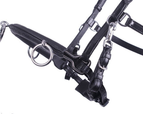 QHP Leather Cavesson