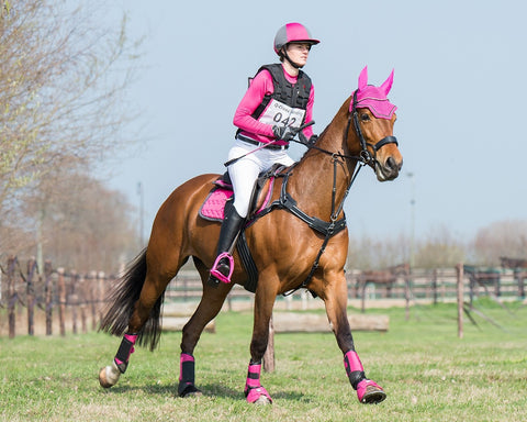 QHP Sedna Breastplate - EveryDay Equestrian
