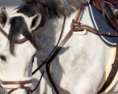 QHP Ontario Breastplate - EveryDay Equestrian
