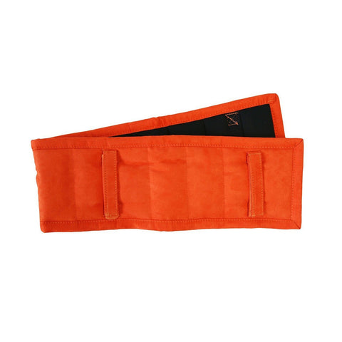 QHP Lunging Pad - EveryDay Equestrian