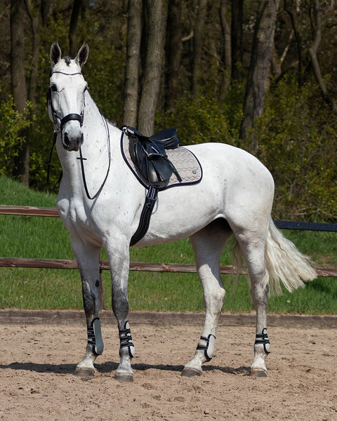 QHP Eldorado All Purpose Saddle Pad - EveryDay Equestrian