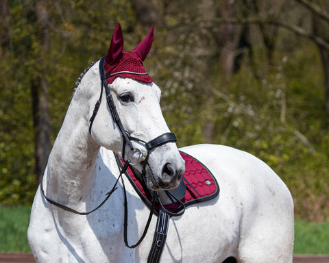 QHP Eldorado All Purpose Saddle Pad - EveryDay Equestrian