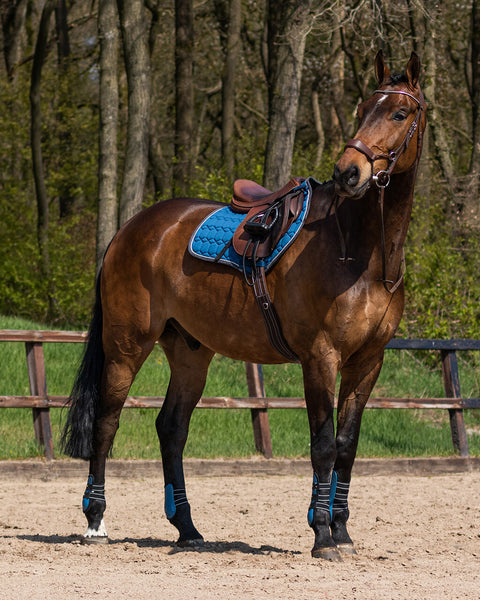 QHP Eldorado All Purpose Saddle Pad - EveryDay Equestrian