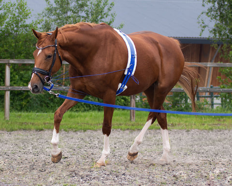 QHP Lunge Roller & Girth - EveryDay Equestrian