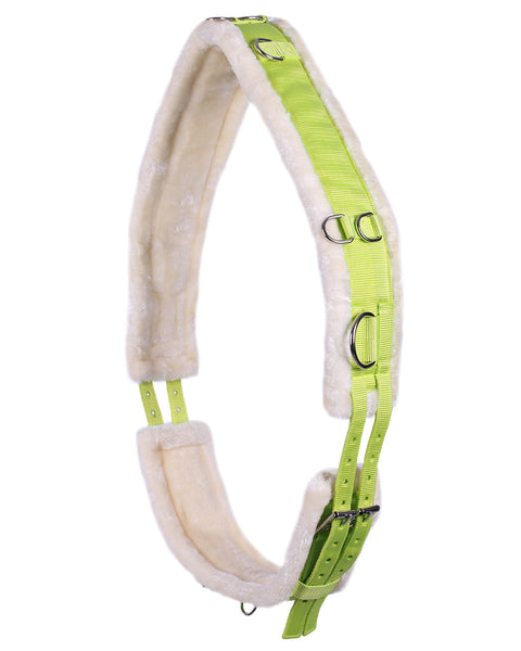 QHP Lunge Roller & Girth - EveryDay Equestrian