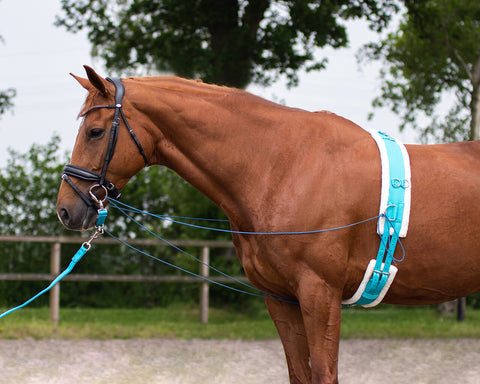 QHP Lunge Roller & Girth - EveryDay Equestrian