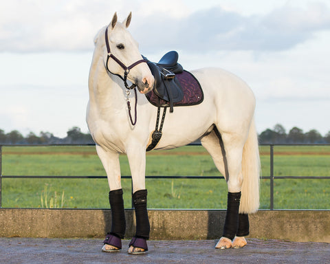 QHP Metallic Glitz Dressage Pad - EveryDay Equestrian