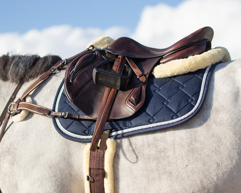 QHP Ontario All Purpose Girth - EveryDay Equestrian