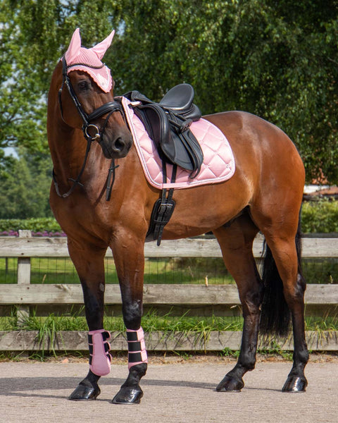 QHP Havanna Dressage Saddle Pad