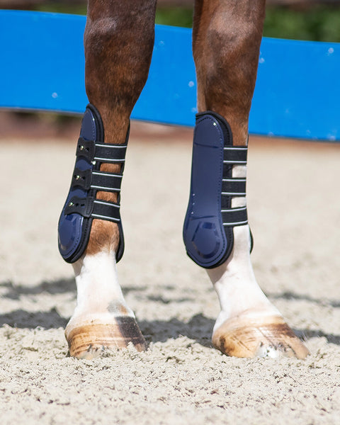 QHP Champion Tendon Boots - EveryDay Equestrian